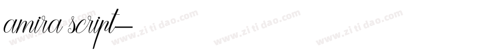 amira script字体转换